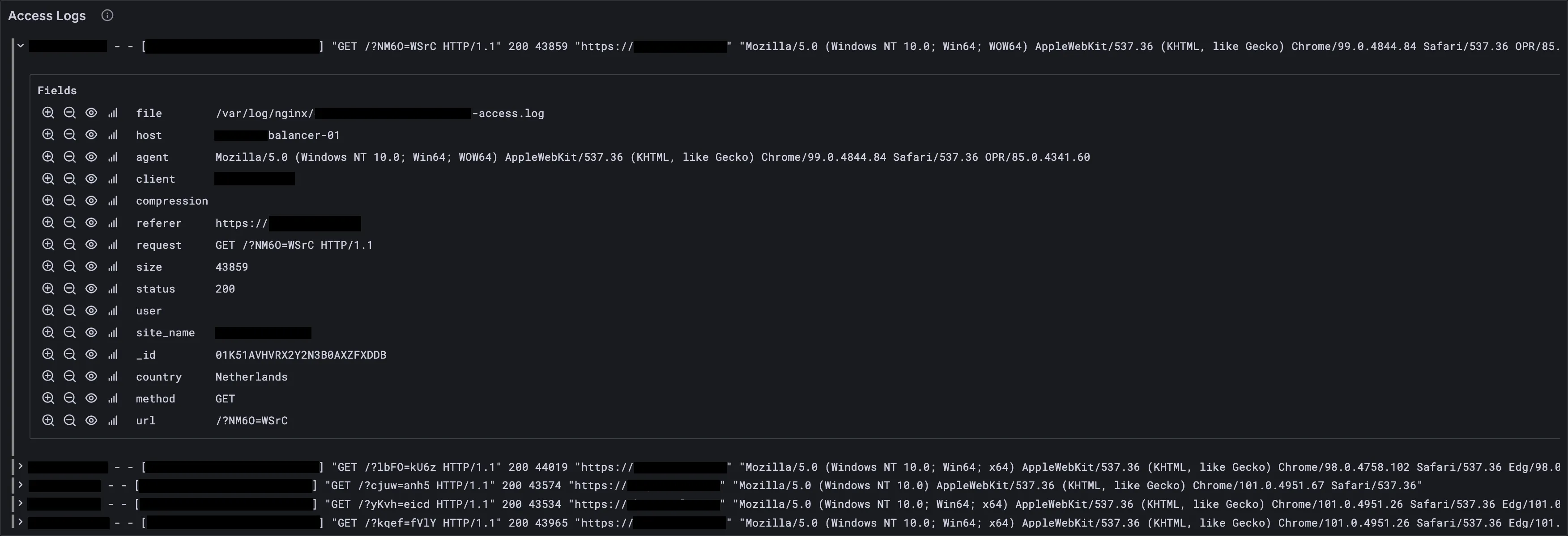 Access Logs panel